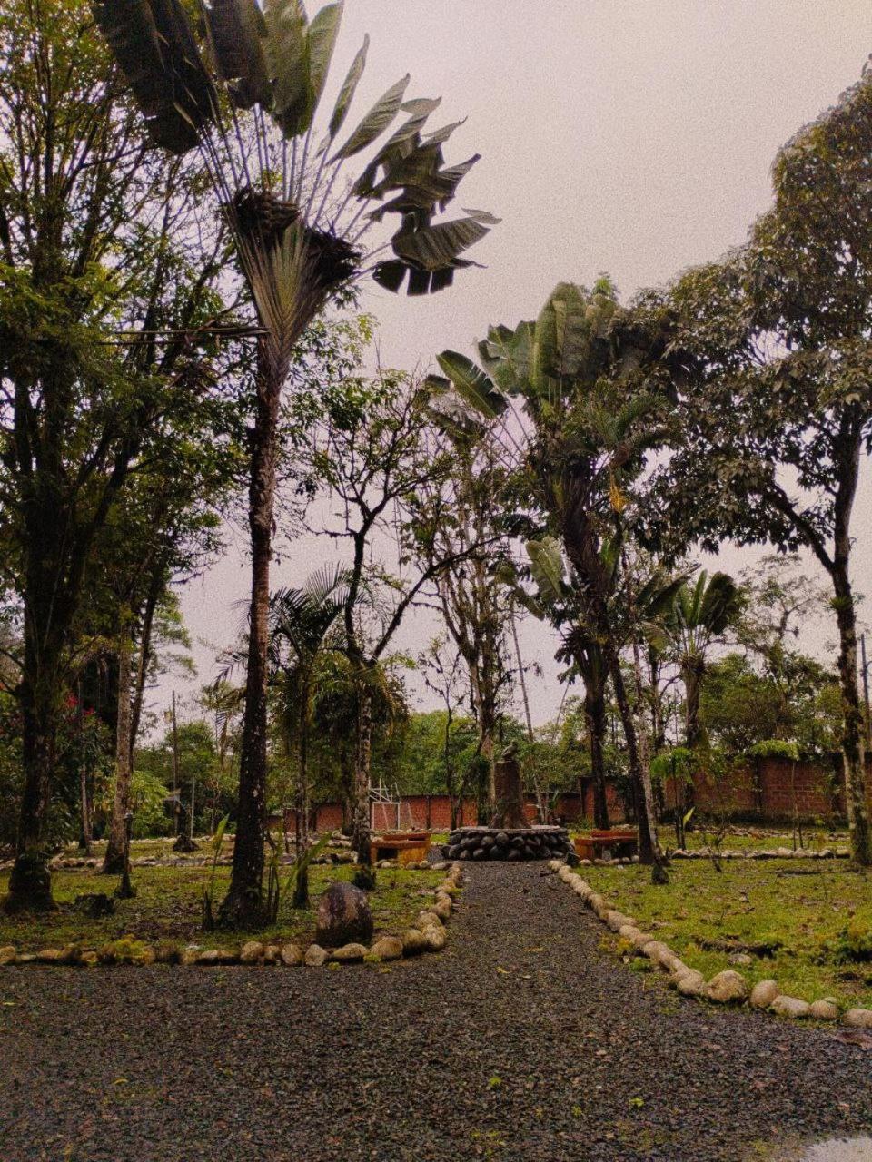 Hosteria Sapos Y Ranas Milpe Exterior foto